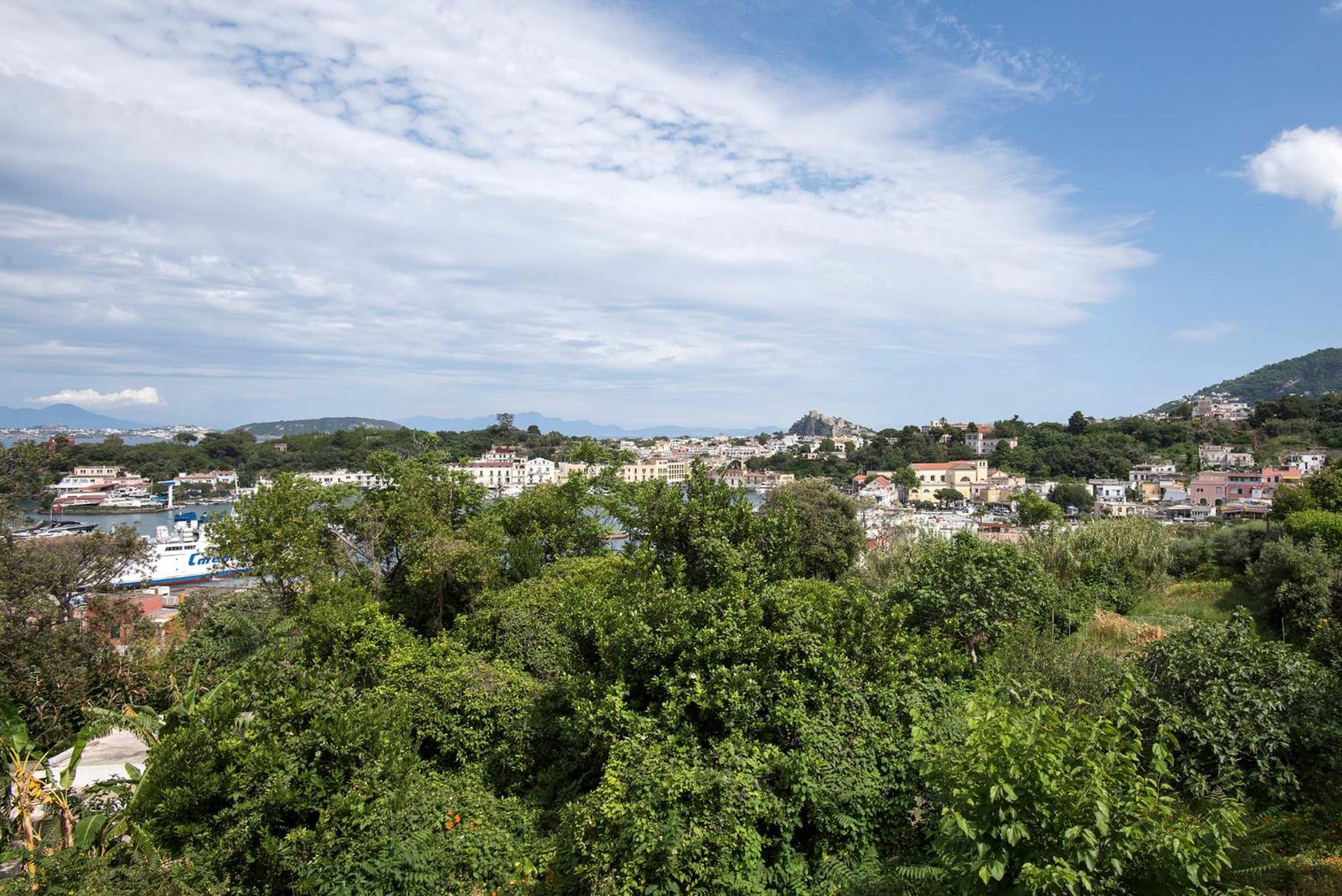 Con Vista Esclusiva Sul Golfo D'ischia Apartment *
